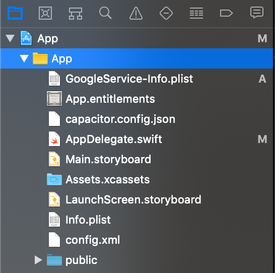 iOS 平台上 Google Service Info Plist 文件的位置