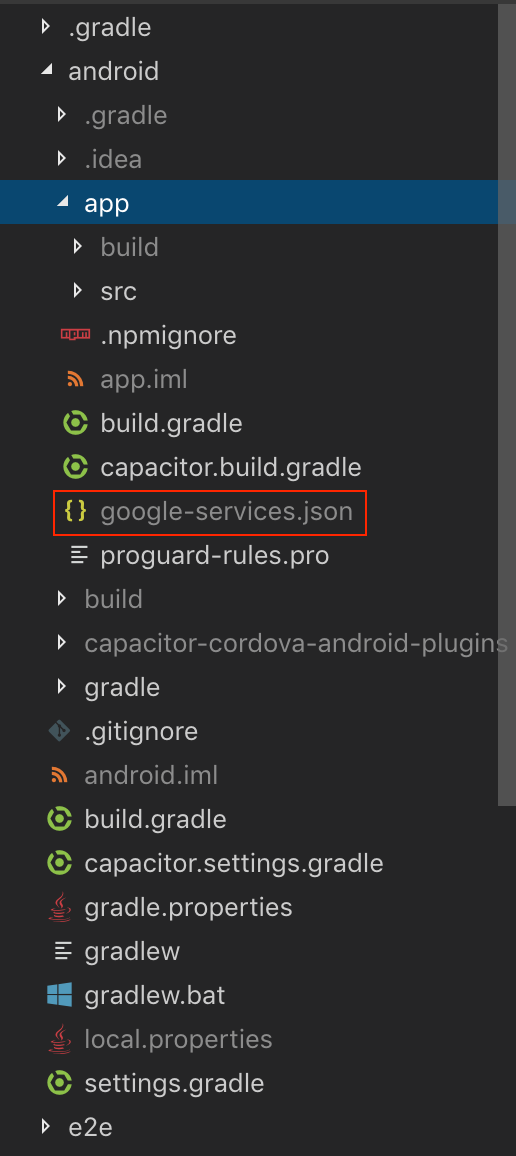 Android 平台上 Google Services JSON 文件的位置